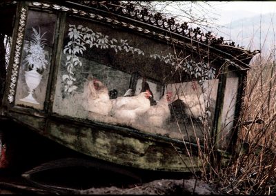 Hens in a Hearse, Mayo, 1967