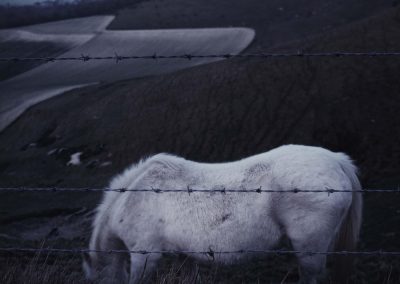 White Horse, Sussex Downs, 1985