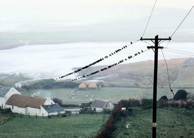 Birds, Bloody Foreland, Donegal, 1967