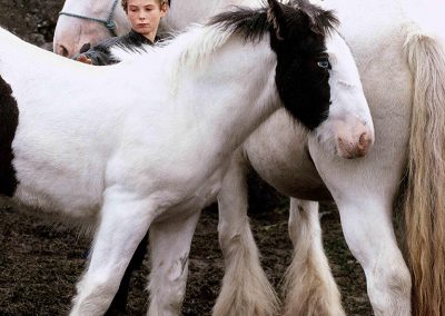 Boy & Piebalds, Galway 1994